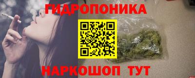 стаф Кулебаки