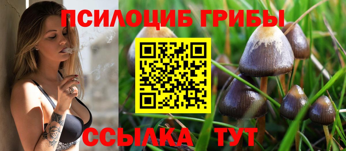 Галлюциногенные грибы прущие грибы  Вход с VPN  Ярцево  Галлюциногенные грибы Cubensis 